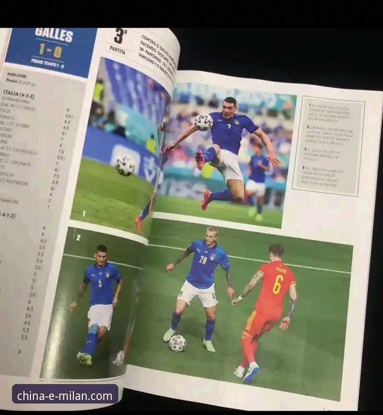 米兰体育平台历史使用技巧详解